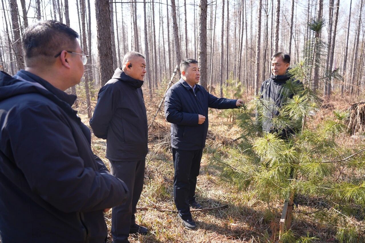 WeChat の写真_2026-03-31_105141_362jpg