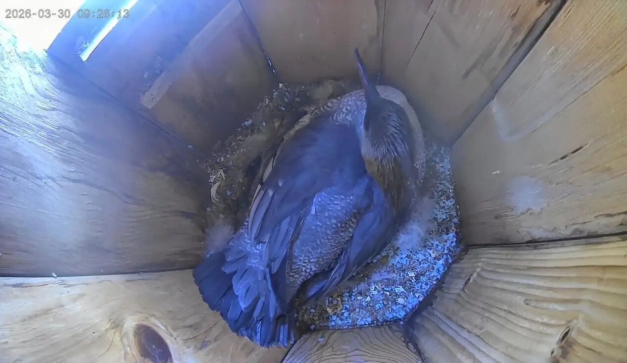 WeChat の写真_2026-04-02_094514_183jpg